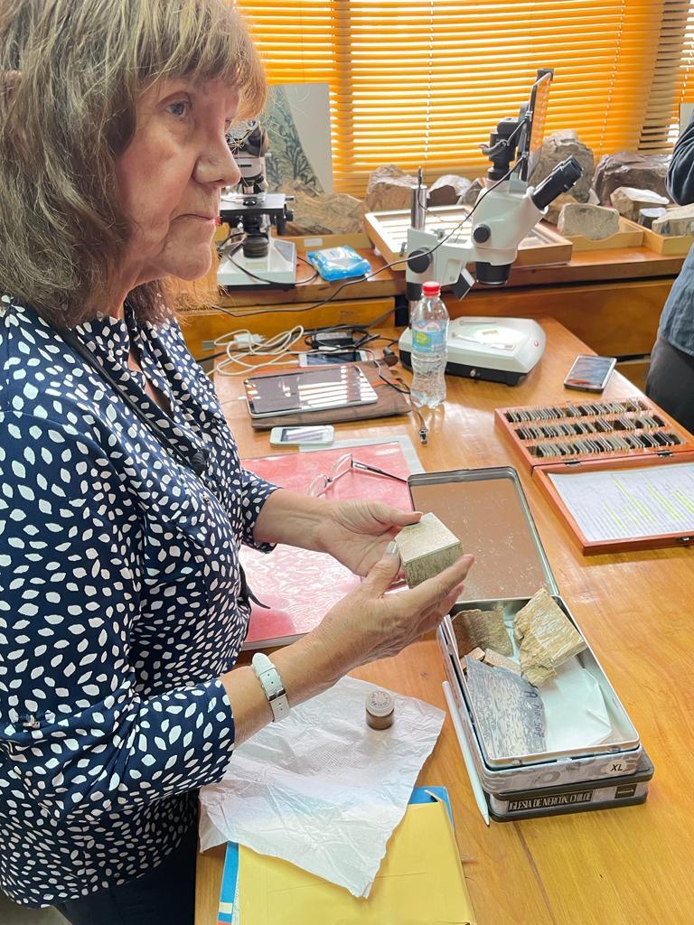 Profesora Teresa Torres en su bodega donde guarda los fósiles vegetales de sus más de 20 expediciones a la Antártida