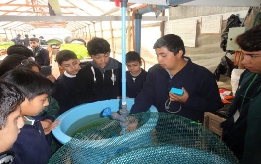 Alumnos de la Escuela Fray Jorge de Ovalle, midiendo nivel de oxígeno en las piscinas de las truchas arcoíris.