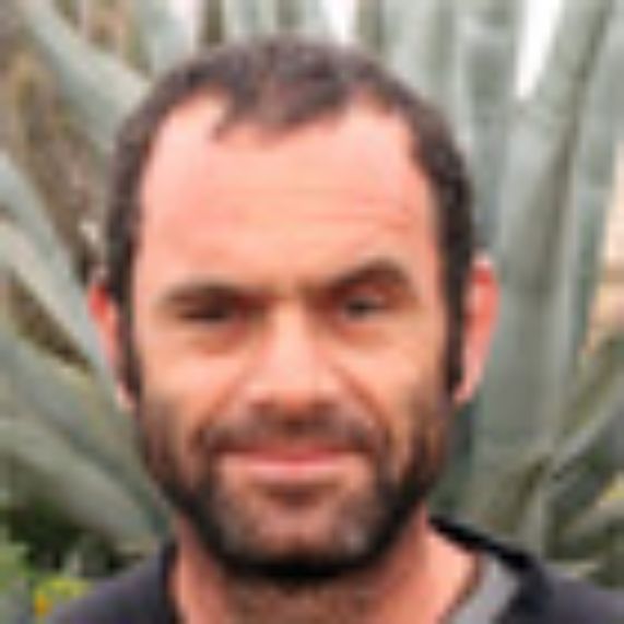 Profesor Nicolás Franck