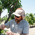 El Laboratorio de Mejoramiento Genético y Calidad de la Fruta se ha transformado en un referente global en el desarrollo de nuevas variedades frutales con larga vida de postcosecha