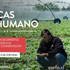 Región de O´Higgins abre inscripciones para curso sobre productos hortícolas